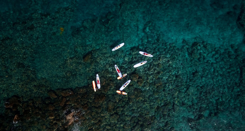 Photographie aérienne de bateaux sur plan d’eau de jour