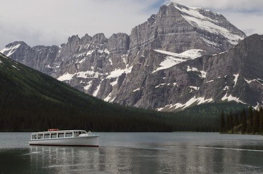 white cruise ship on body of water near rocky mountain in Swiftcurrent Lake United States