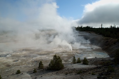 A geothermal area with steam rising from the ground, surrounded by a barren landscape. Sparse vegetation, including small trees and shrubs, can be seen in the foreground. A forested area is visible in the background under a partly cloudy sky.