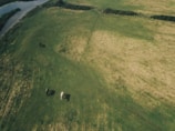 Aerial view of a vast green pasture with two horses grazing. The landscape features a river winding at the top left and hedgerows separating different sections of the field. The grass varies in shades, showing areas of wear and growth paths.