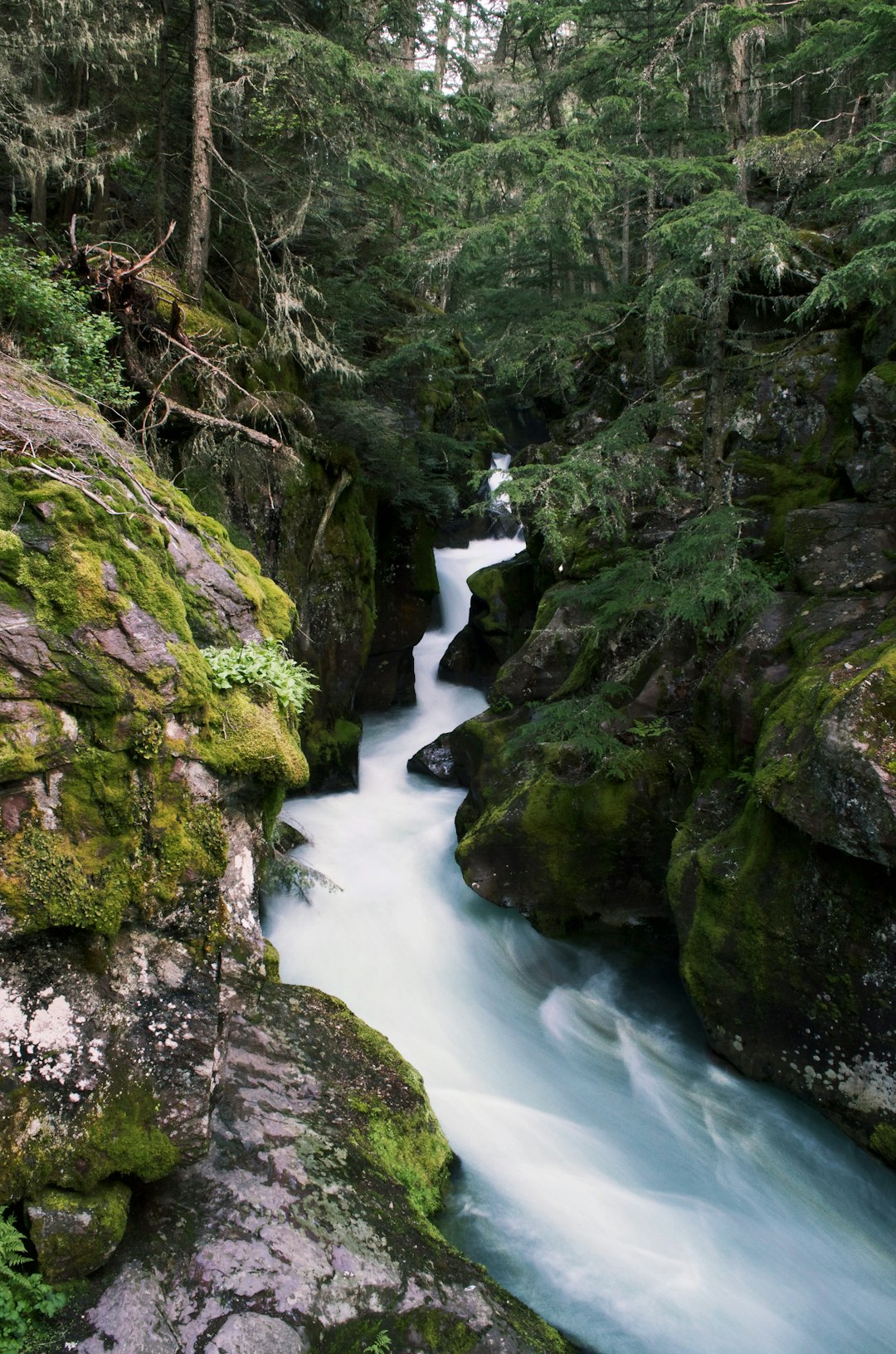 travelers stories about Stream in Glacier National Park, United States