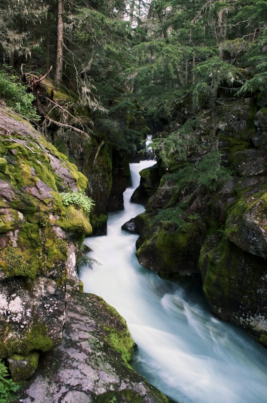 time-lapse photography of stream between rocks in Glacier National Park United States