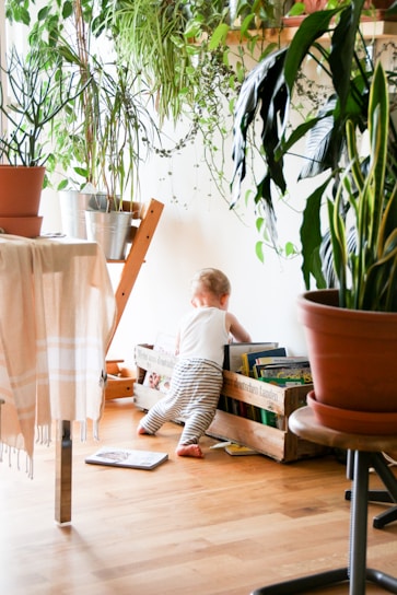 Children joyfully exploring a lush rainforest-themed classroom filled with plants and natural light.