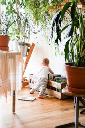 A child dressed in a white sleeveless top and striped pants explores a collection of books stored in wooden crates. The room is filled with lush greenery from various potted plants arranged around, creating a cozy and vibrant atmosphere. Sunlight streams through the window, casting natural light on the hardwood floor. A blanket hangs over the edge of a table to the left.