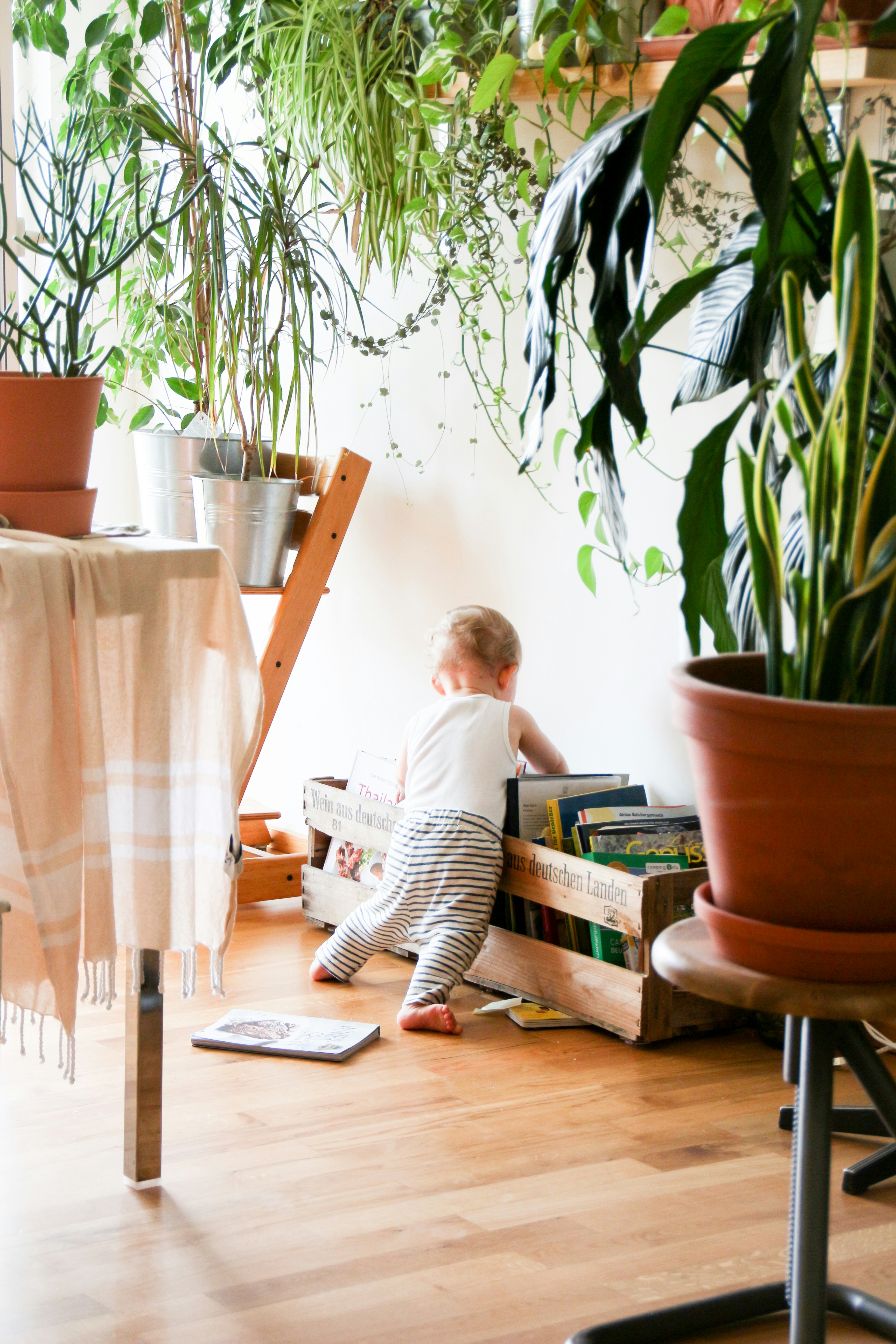 I came into our living room and she did not notice me. Very quietly, I got my camera and secretly photographed it. She was so cute and totally absorbed in the cookbooks.