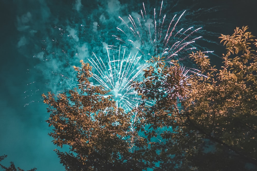 time lapse photography of fireworks