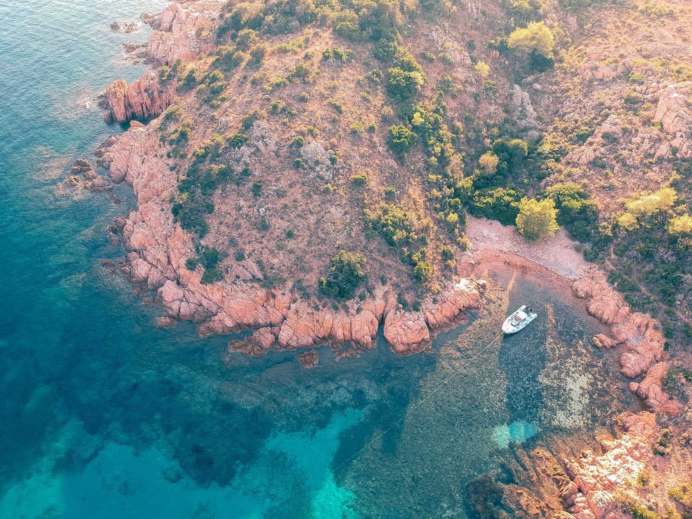 white speedboat beside shore on body of water