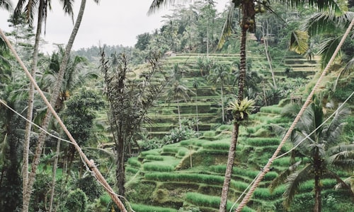 Ubud