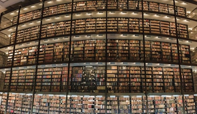 A large library with multiple stories of bookshelves filled with a vast collection of books. The shelves are arranged in a curved, floor-to-ceiling design and are accessible through a series of walkways and stairs. The lighting is warm, illuminating the books and creating a cozy atmosphere.