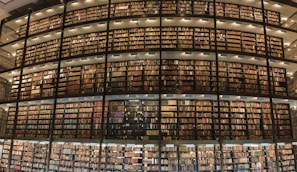 A large library with multiple stories of bookshelves filled with a vast collection of books. The shelves are arranged in a curved, floor-to-ceiling design and are accessible through a series of walkways and stairs. The lighting is warm, illuminating the books and creating a cozy atmosphere.