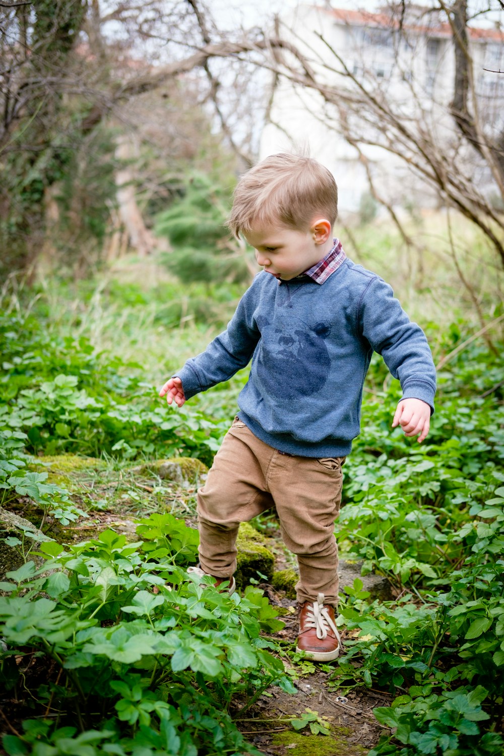 boy standing on green plants photo – Free Person Image on Unsplash