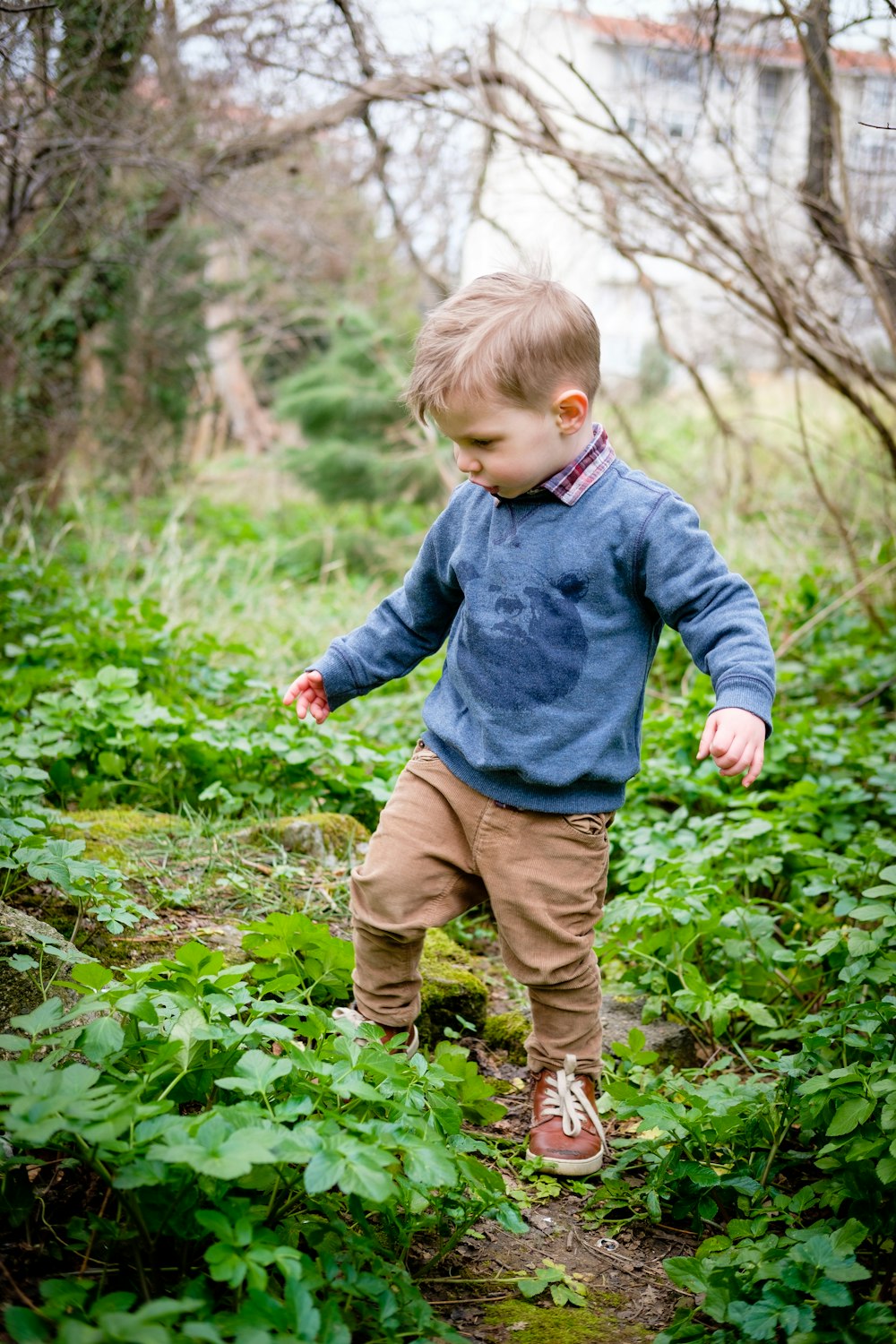 緑の植物の上に立つ少年