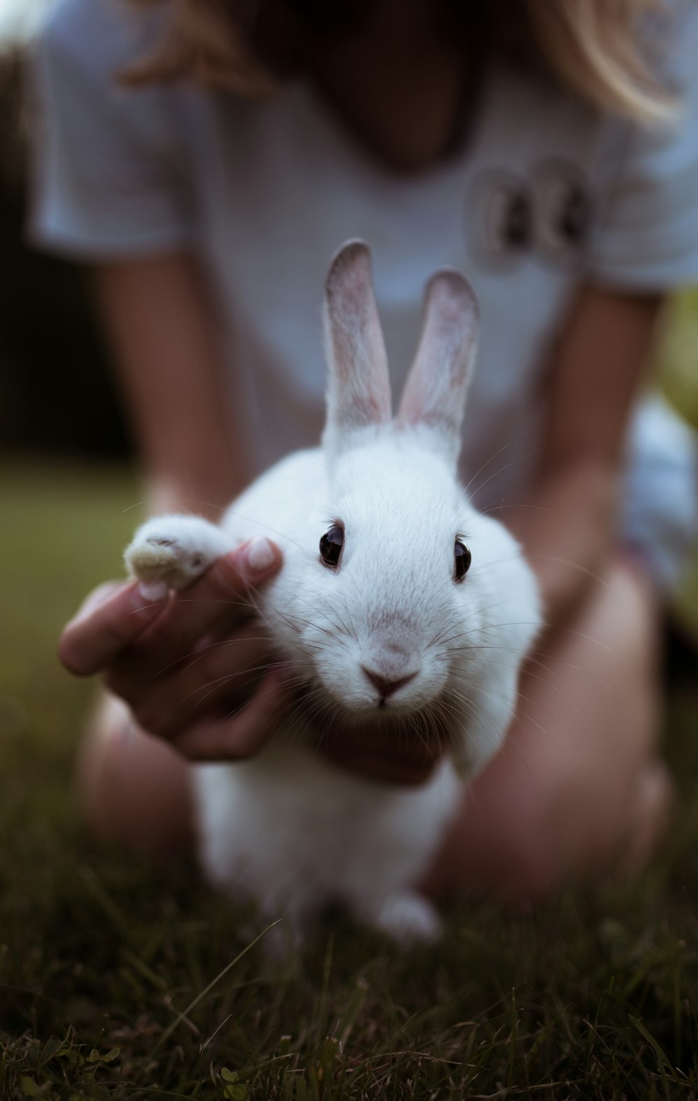 fille tenant un lapin blanc