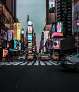 people walking on pedestrian lane