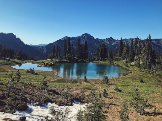 lake surround with trees with mountain background in Mount Rainier National Park United States