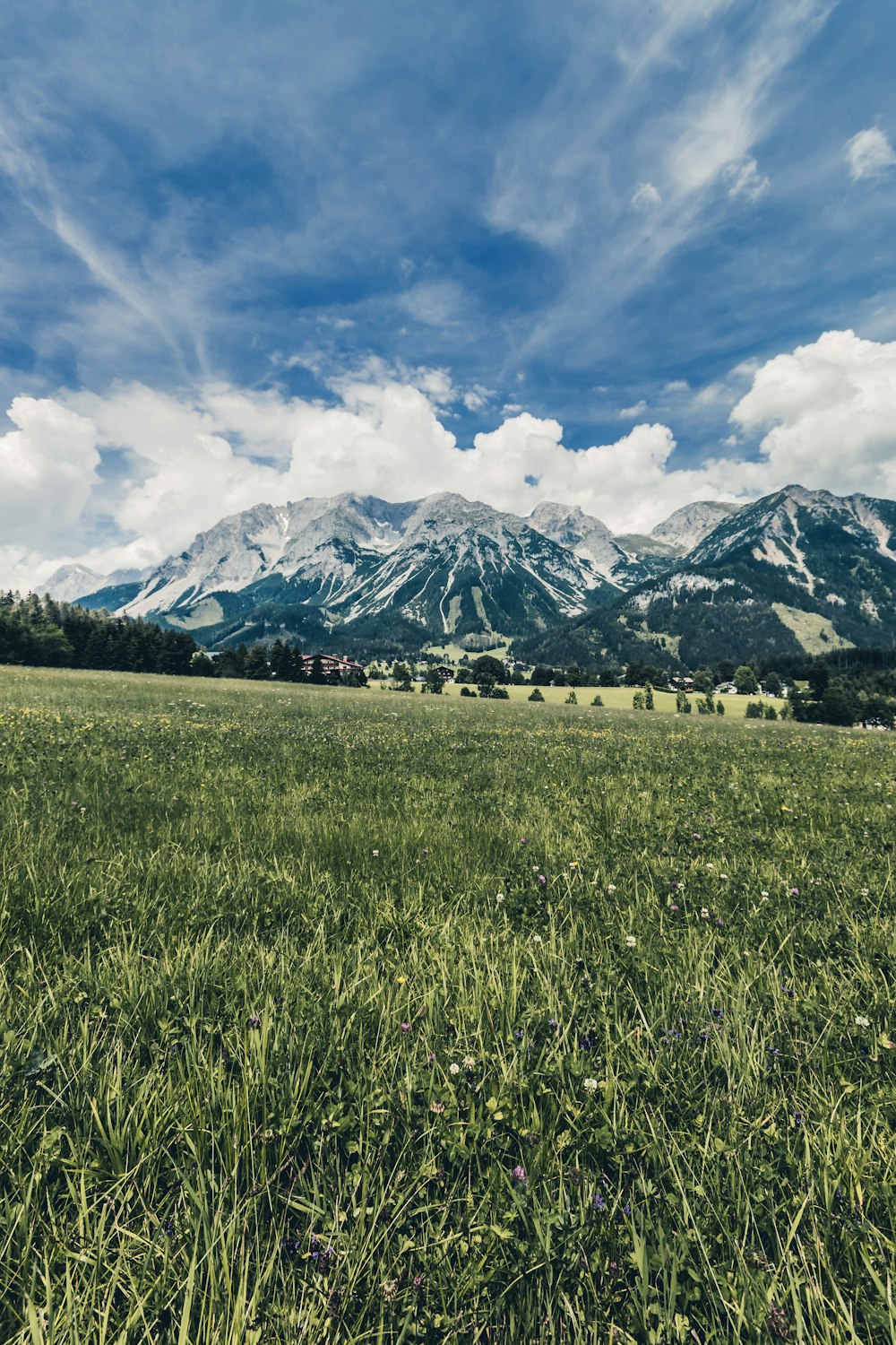 Schneebedeckter Berg in der Nähe eines Grasfeldes