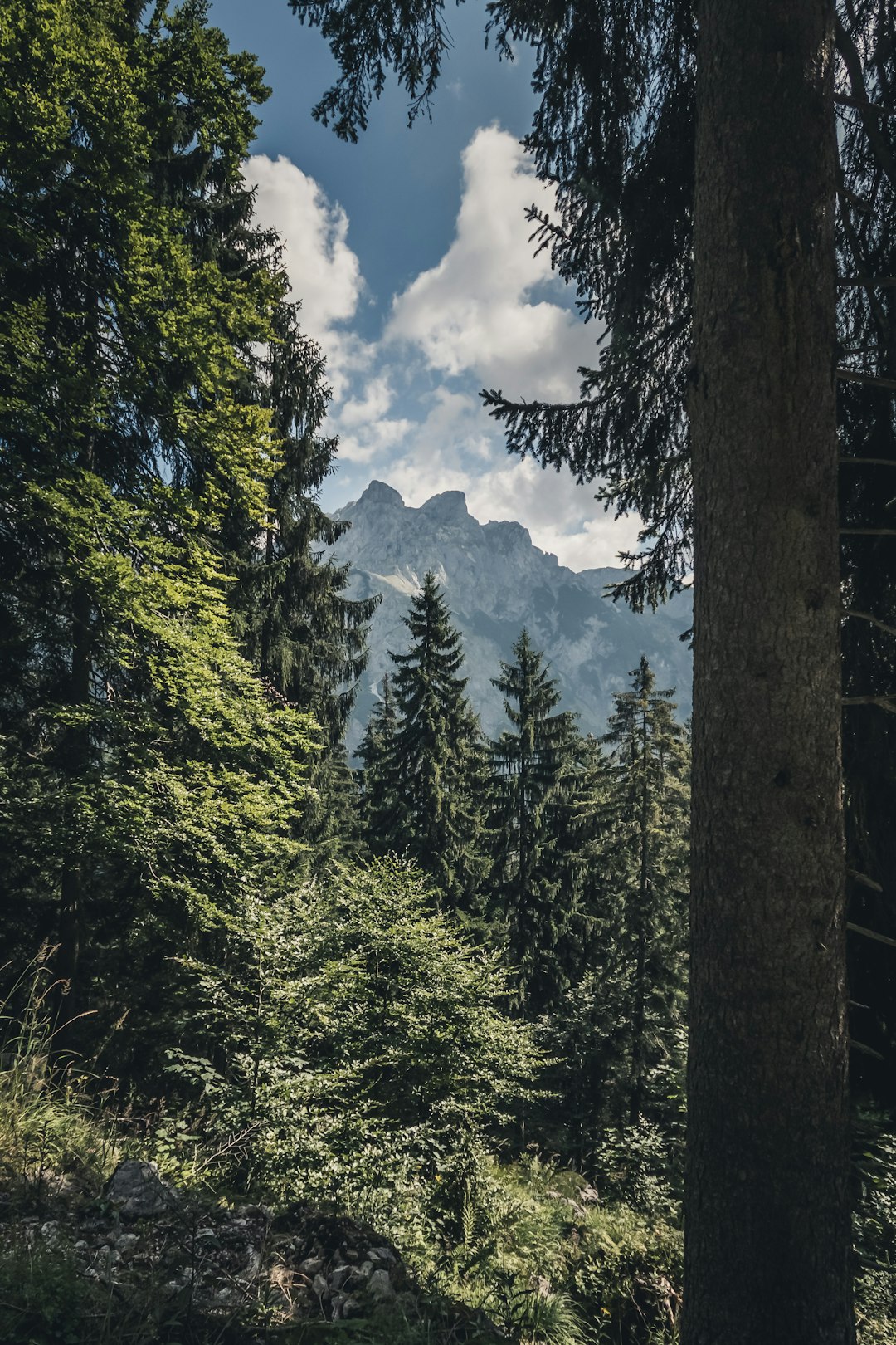 Highland photo spot Werfenweng Leogang