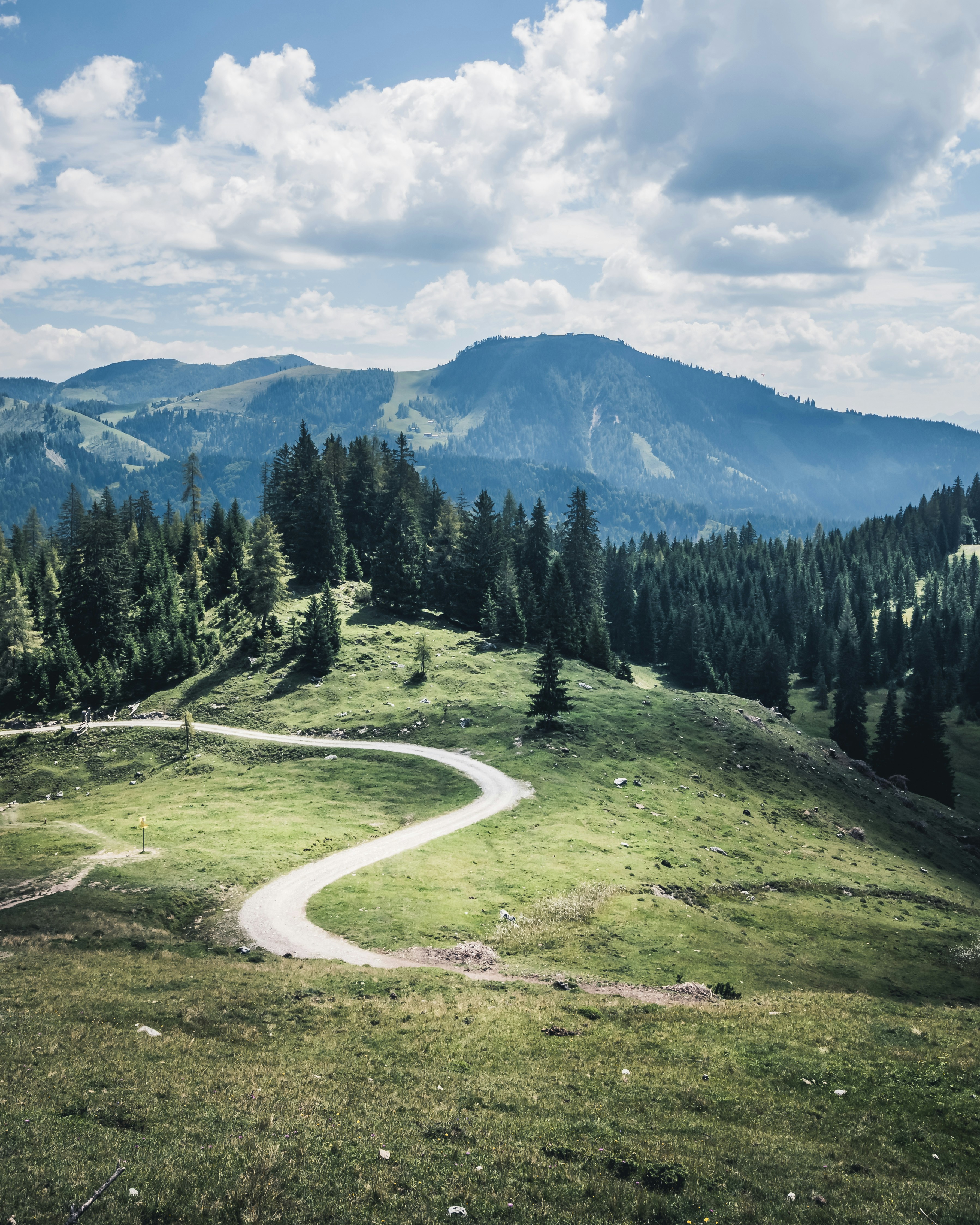 Elmaualm, Werfenweng, Salzburg, Austria