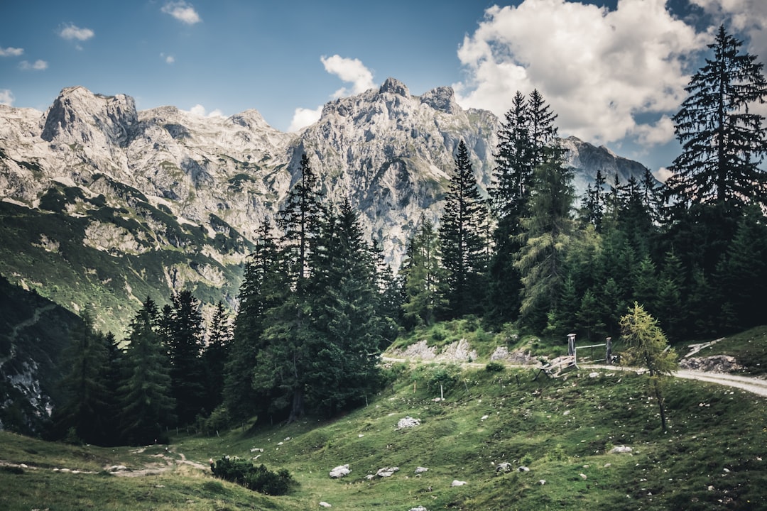 7 Scenic Alpine Routes Austria's Most