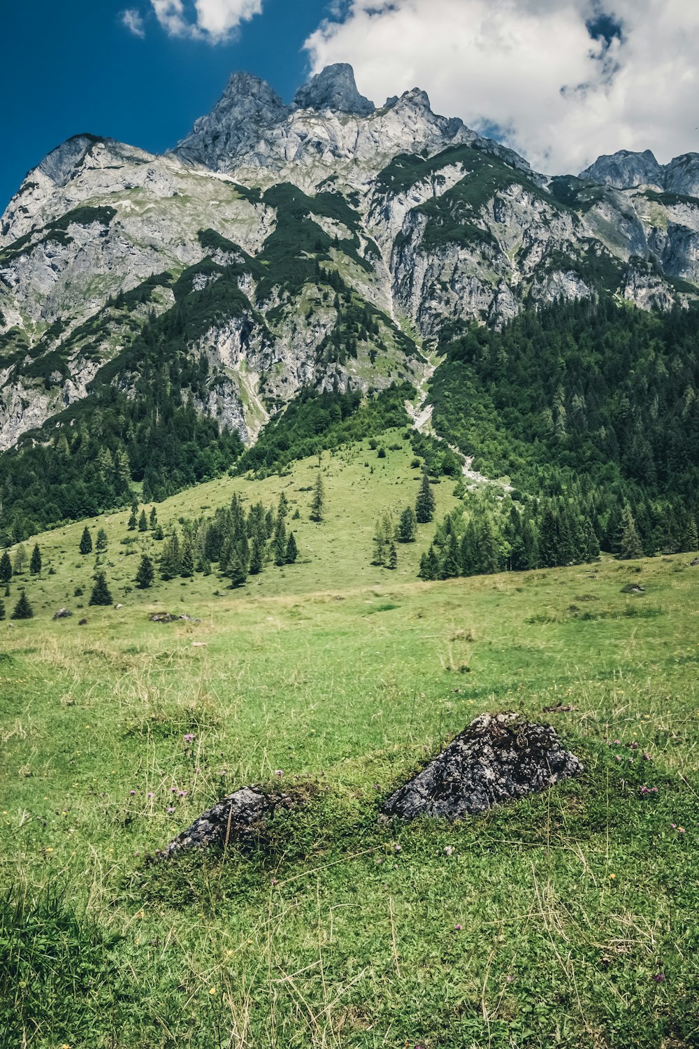 white high-rise mountain