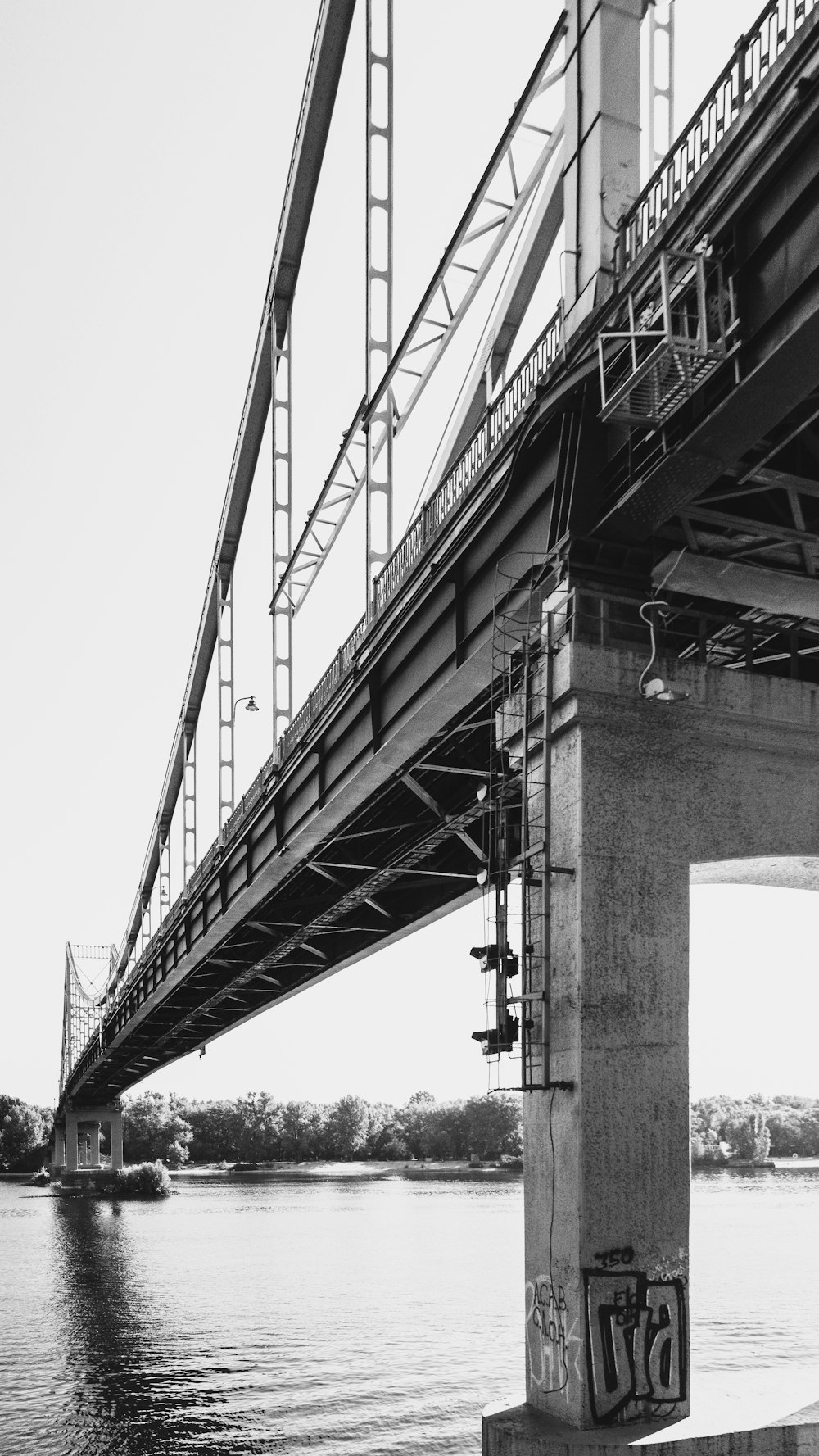 grayscale photo of bridge