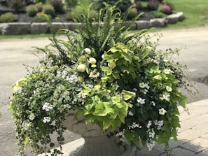 A decorative stone planter is filled with an array of lush green foliage and blooming flowers, including ferns and white blossoms. The planter is situated on a paved outdoor surface, with a blurred background featuring a garden area and a stone border.