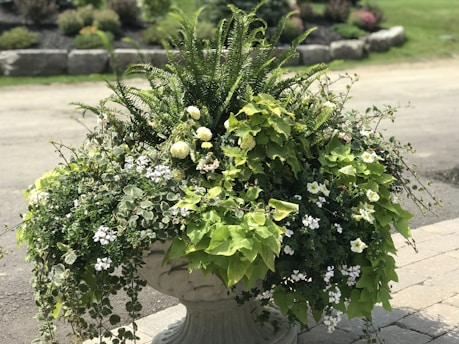 A decorative stone planter is filled with an array of lush green foliage and blooming flowers, including ferns and white blossoms. The planter is situated on a paved outdoor surface, with a blurred background featuring a garden area and a stone border.