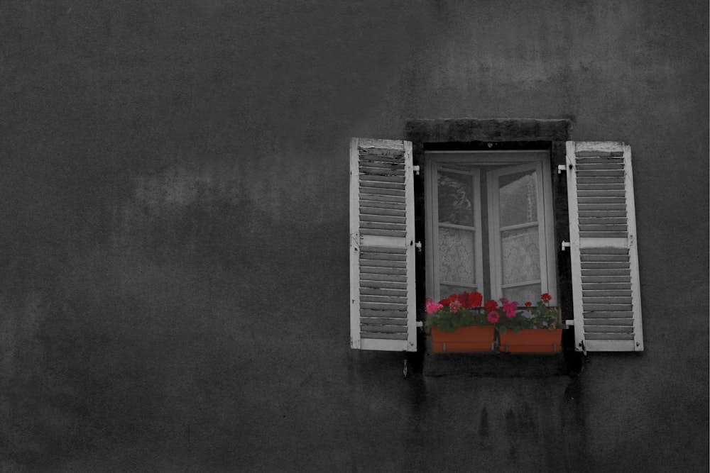 ventana de persianas blancas abierta en pared gris