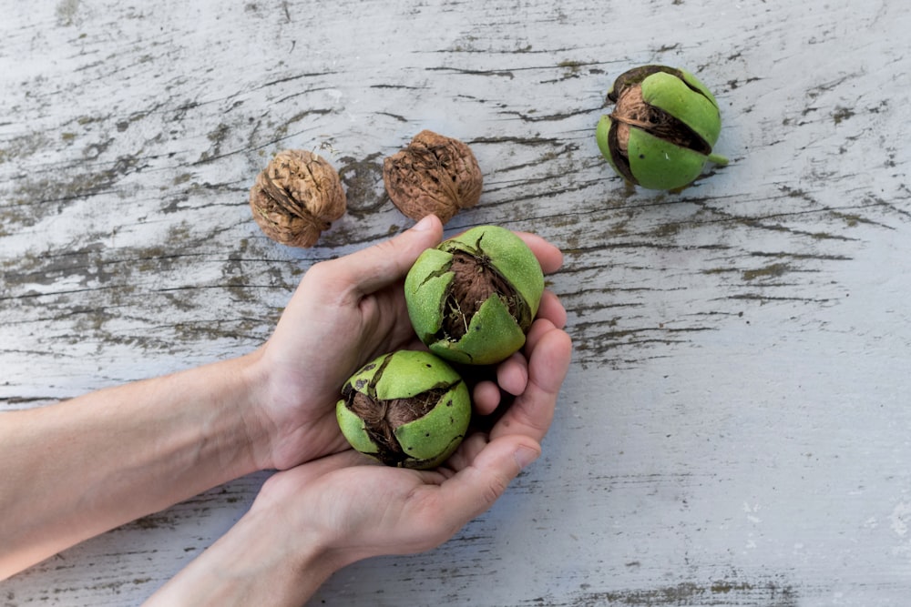 person holding hazelnut