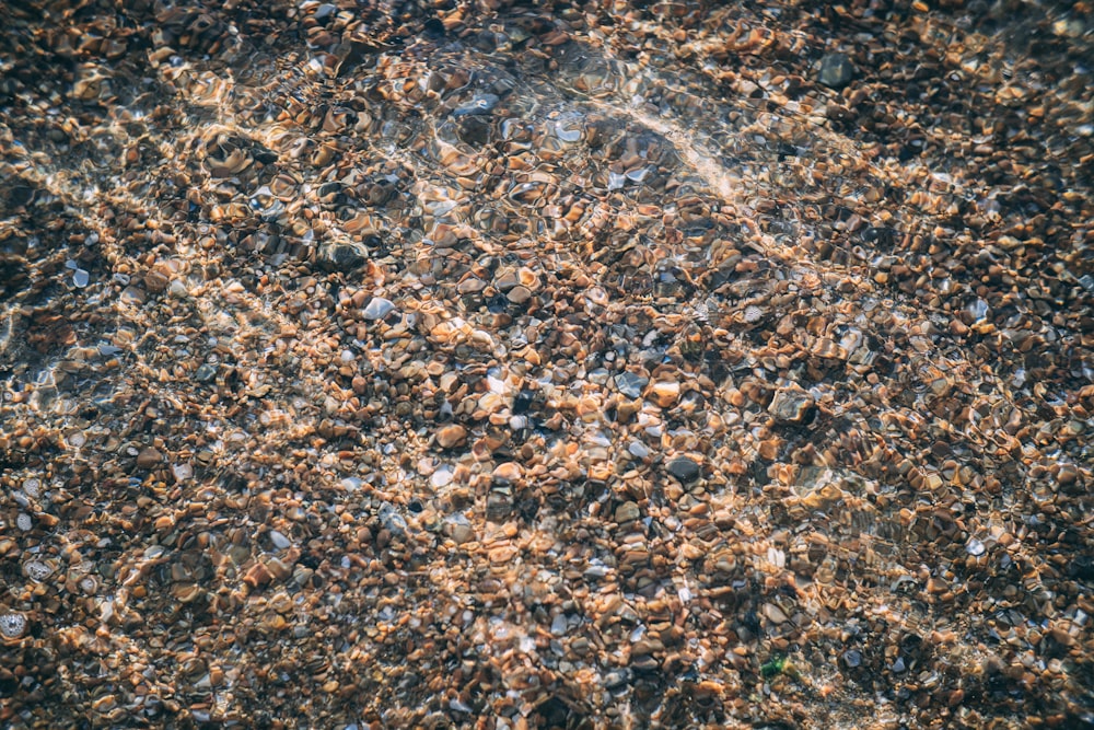 close-up photo of brown and black stones