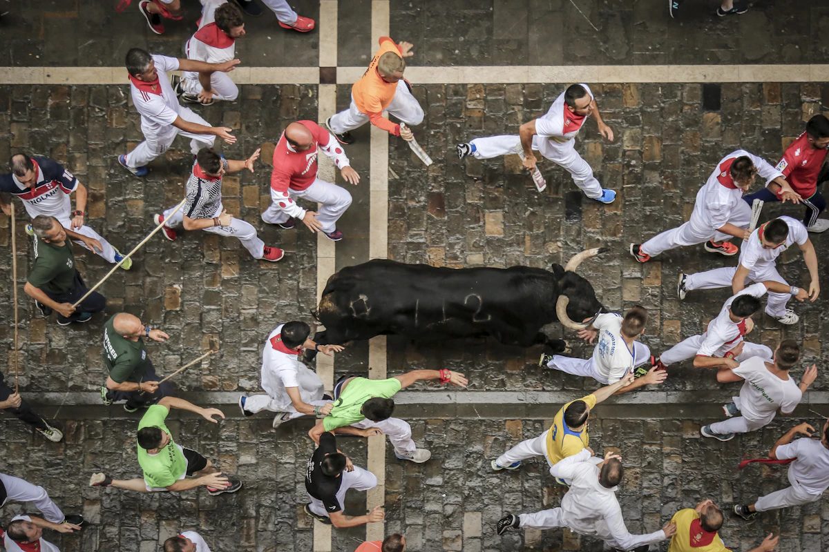 Bull on a narrow street during the San Fermín bull run in Pamplona