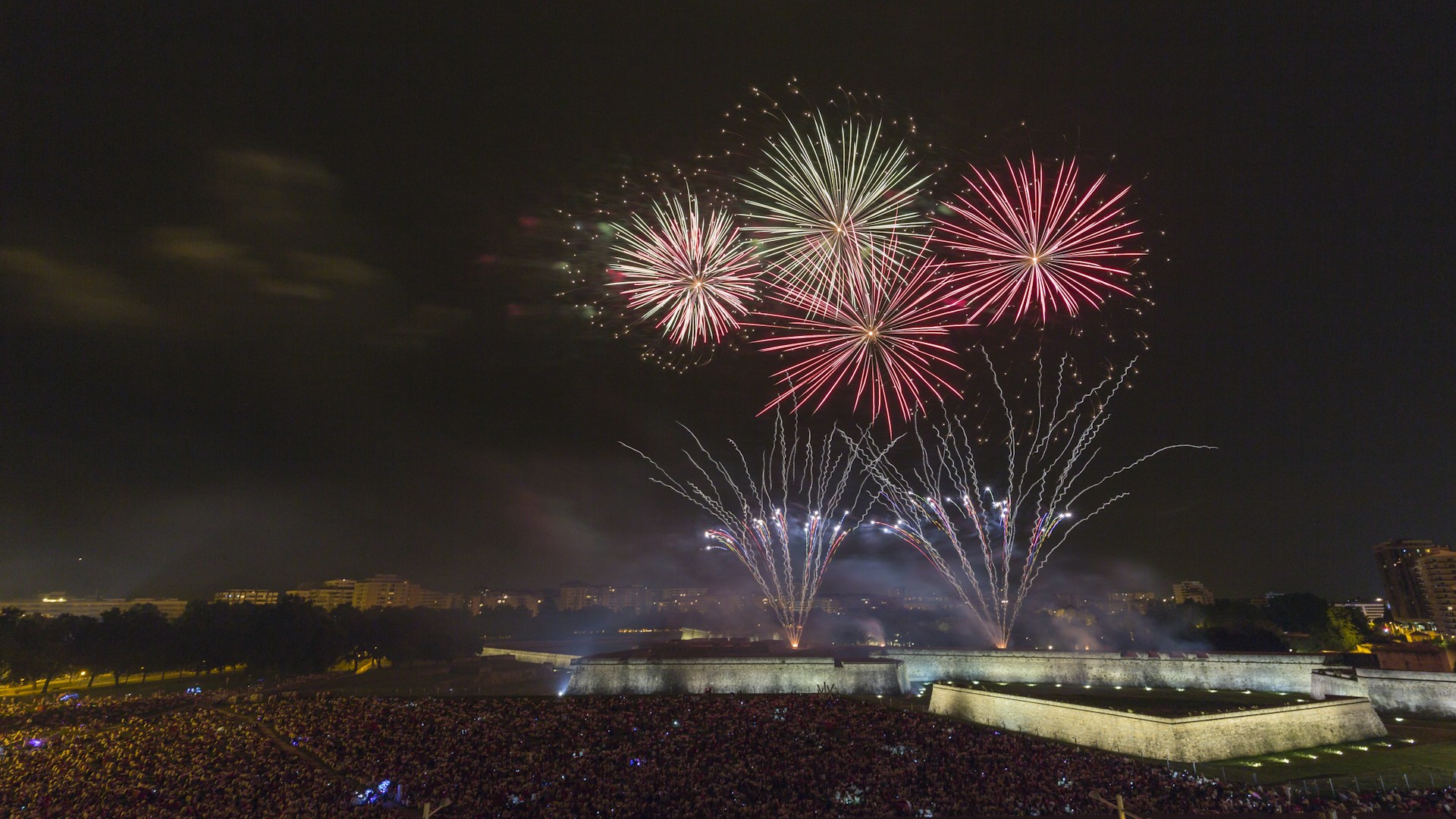 firework during night time
