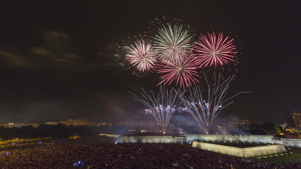 firework during night time