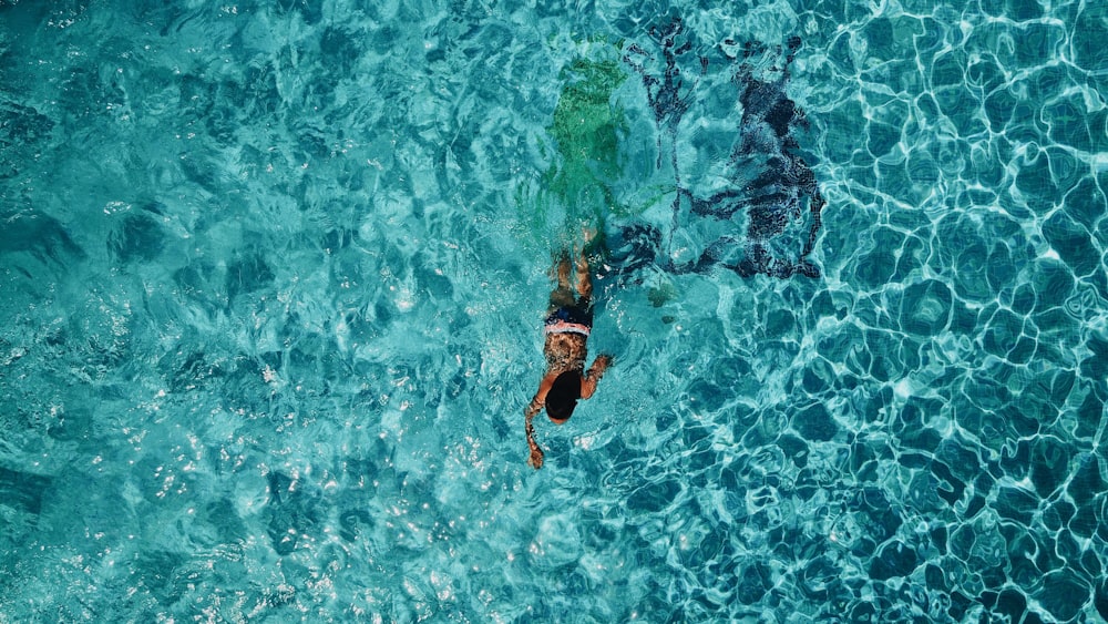 person swimming on body of water