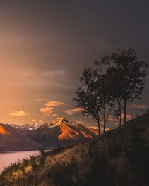 trees near mountain and river