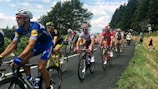 A group of cyclists are competing on a paved road surrounded by lush greenery and trees. They are wearing colorful jerseys and helmets, riding in a pack during what appears to be a professional road race. A few spectators are visible by the roadside, and a support vehicle follows the cyclists.