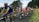 A vibrant cycling race with cyclists competing on a scenic road.