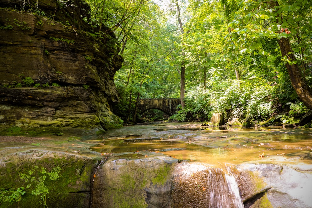 scenery of waterfalls