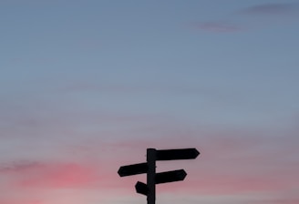 silhouette of a road signage during golden hour