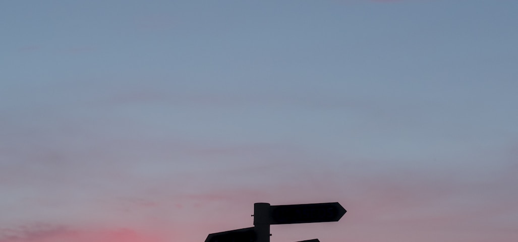 silhouette of a road signage during golden hour