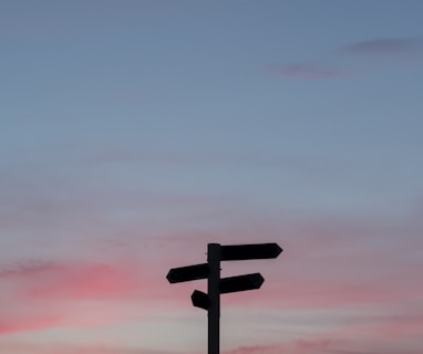 silhouette of a road signage during golden hour