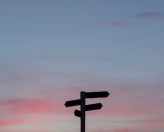 silhouette of a road signage during golden hour