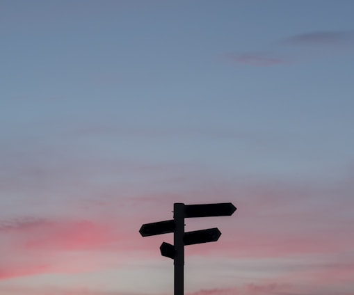 silhouette of a road signage during golden hour