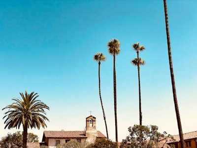 brown concrete houses near green trees californium teams background