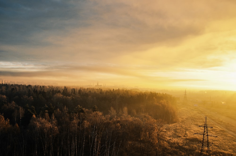 high angle photography of trees near transmission towers