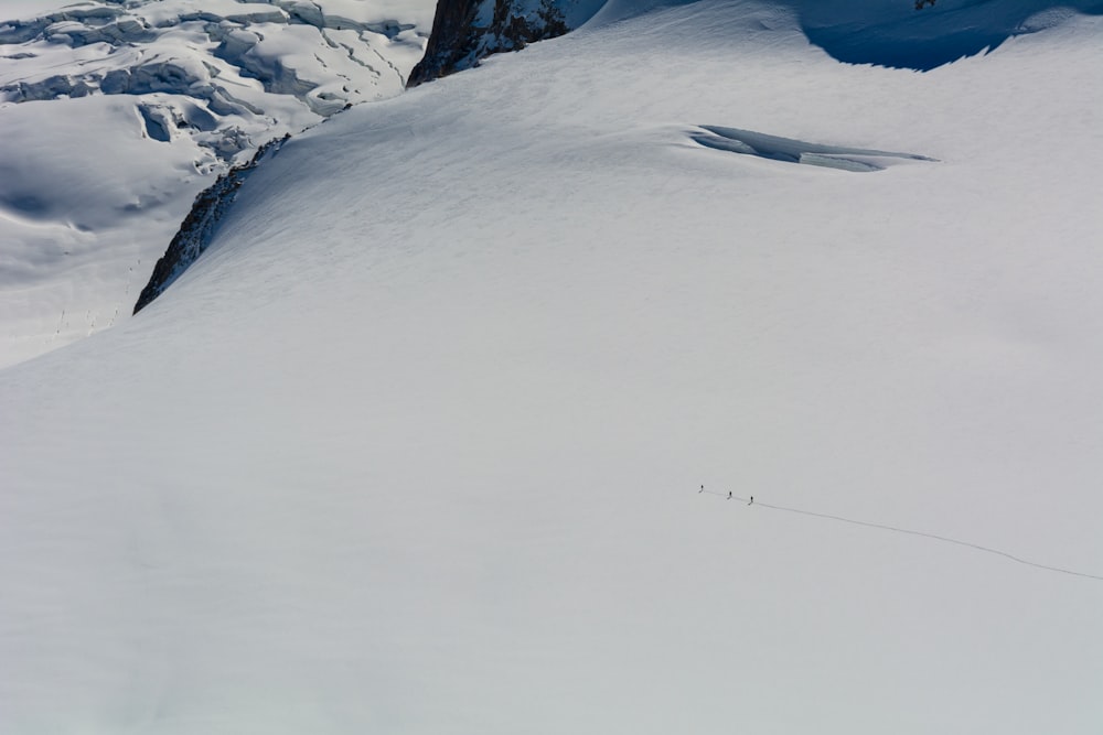 snow-covered field