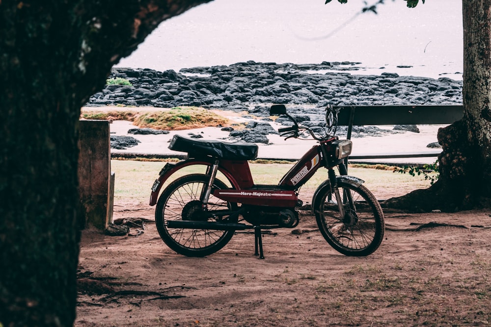 moped beside trees