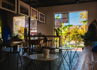 A cozy cafe interior with wooden tables and chairs is bathed in natural light from large windows. The walls are adorned with framed photographs, and potted plants add a touch of greenery. The outside view features vibrant foliage and a clear blue sky.