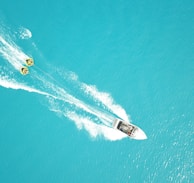 white boat on green water during daytime