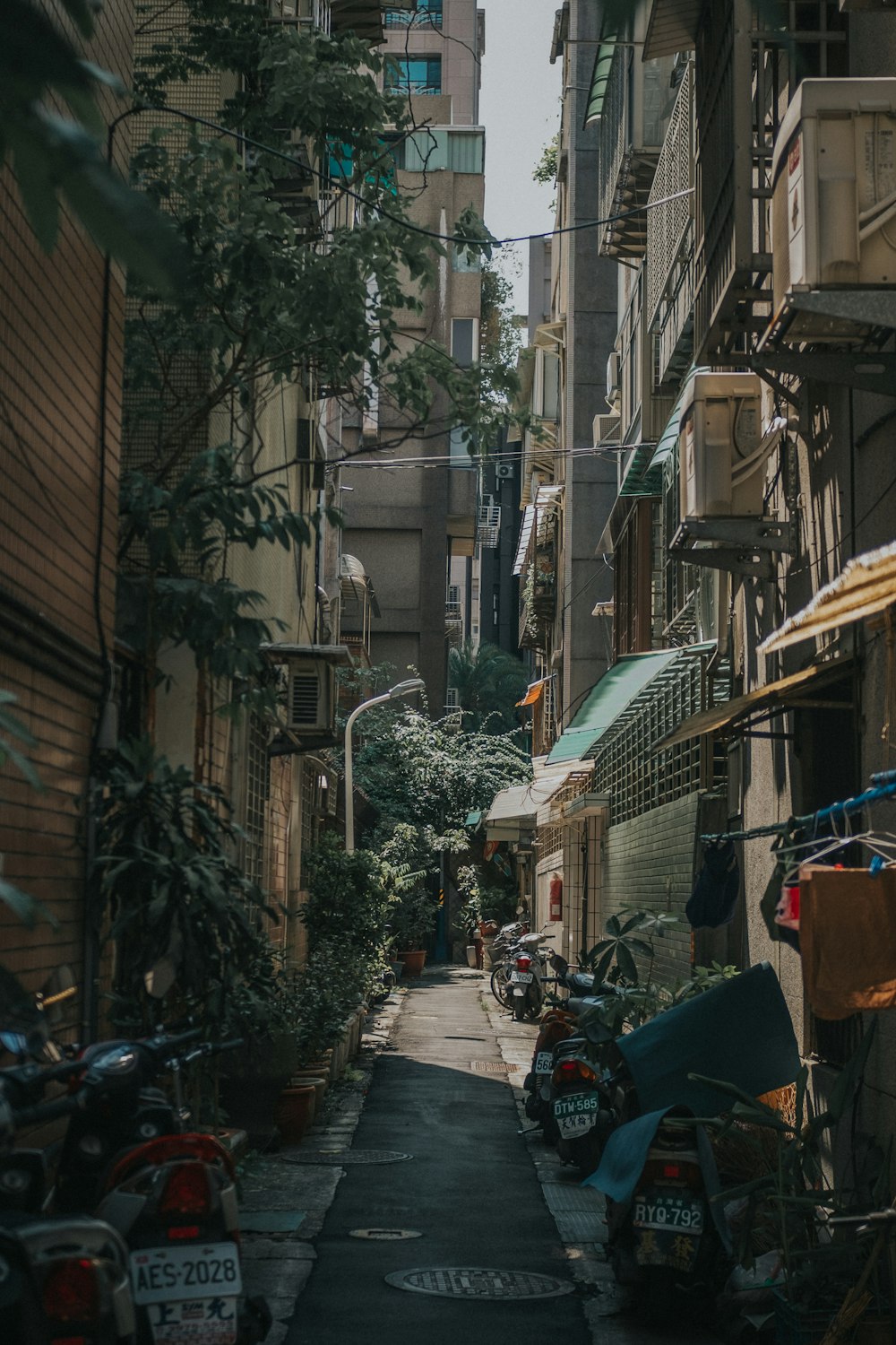 Camino entre dos edificios